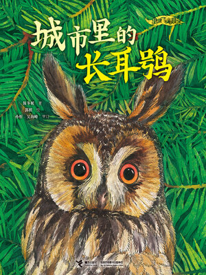 cover image of 城市里的长耳鸮（我的飞鸟朋友·你如此可爱）